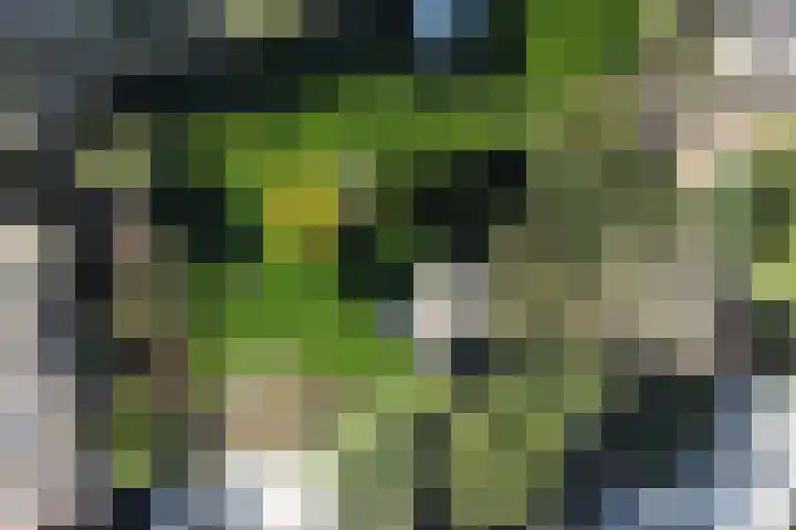 Singel 4 Noordeloos thumbnail 37