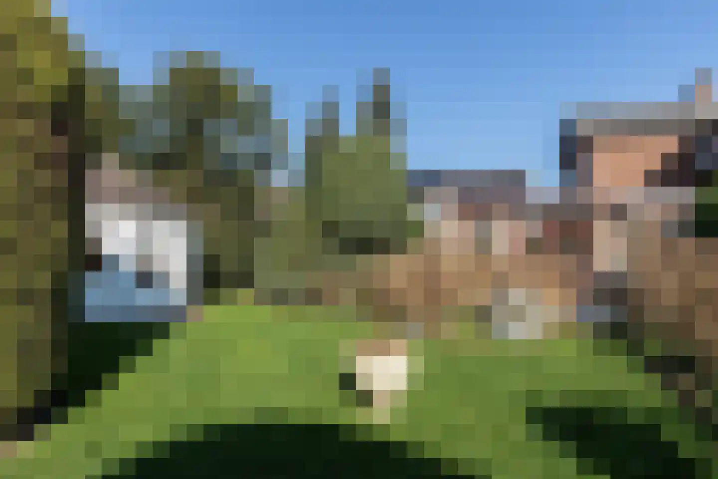 Singel 4 Noordeloos thumbnail 38