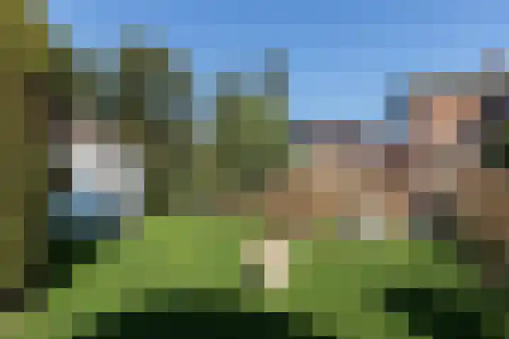 Singel 4 Noordeloos thumbnail 38