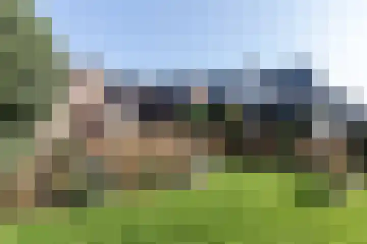 Singel 4 Noordeloos thumbnail 39