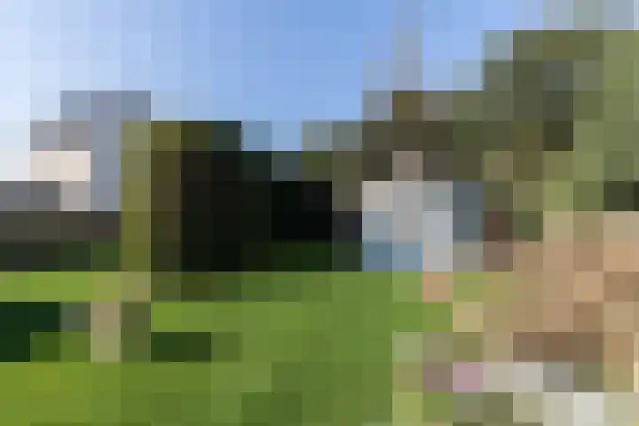 Singel 4 Noordeloos thumbnail 4