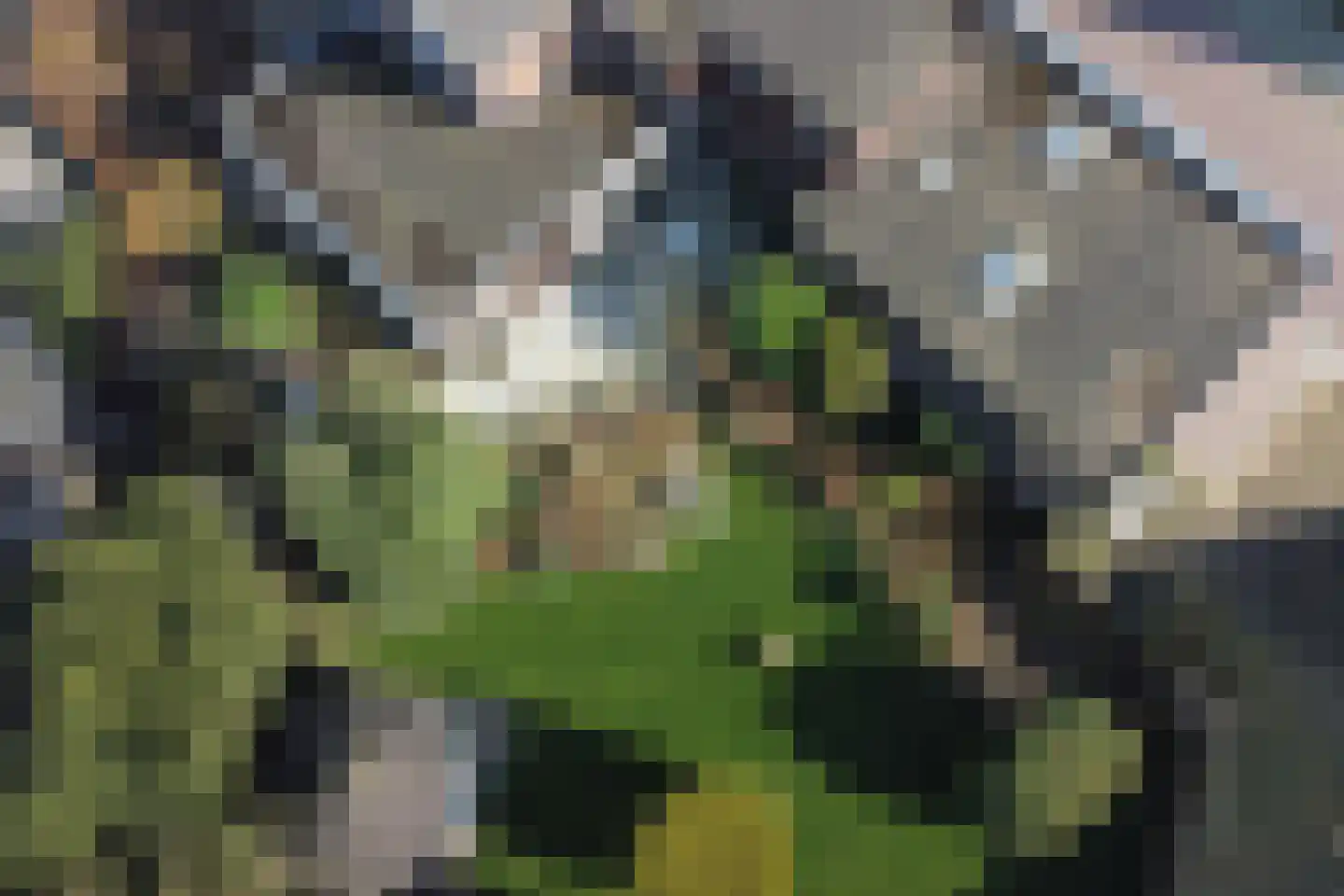 Singel 4 Noordeloos thumbnail 41