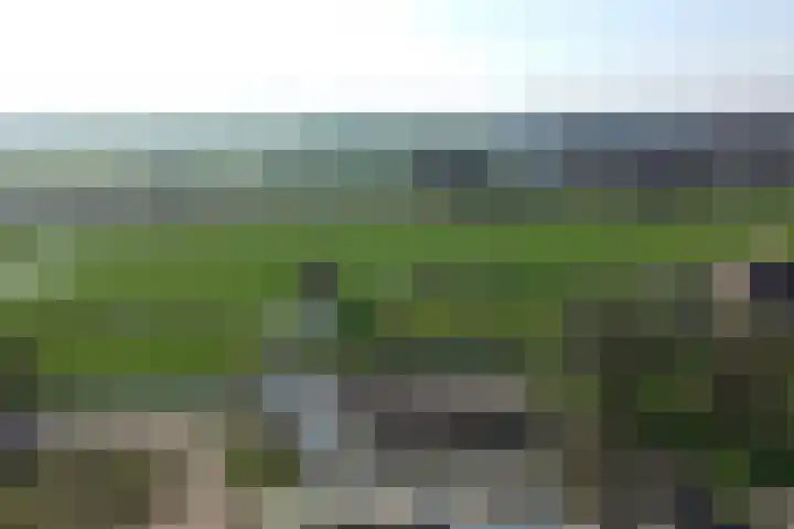 Singel 4 Noordeloos thumbnail 42