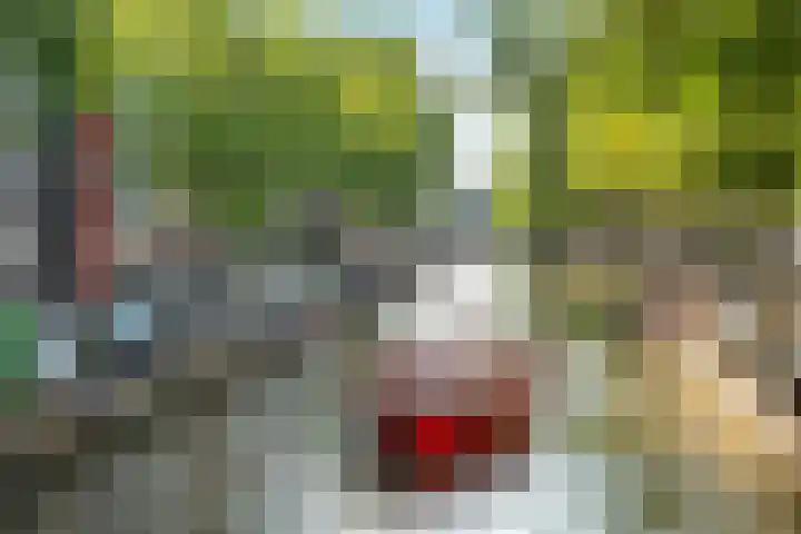 Singel 42 D Amsterdam thumbnail 51