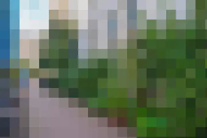 Singel 42 D Amsterdam thumbnail 6