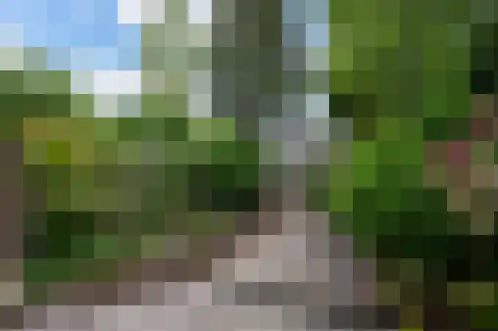 Singel 42 Dordrecht thumbnail 22