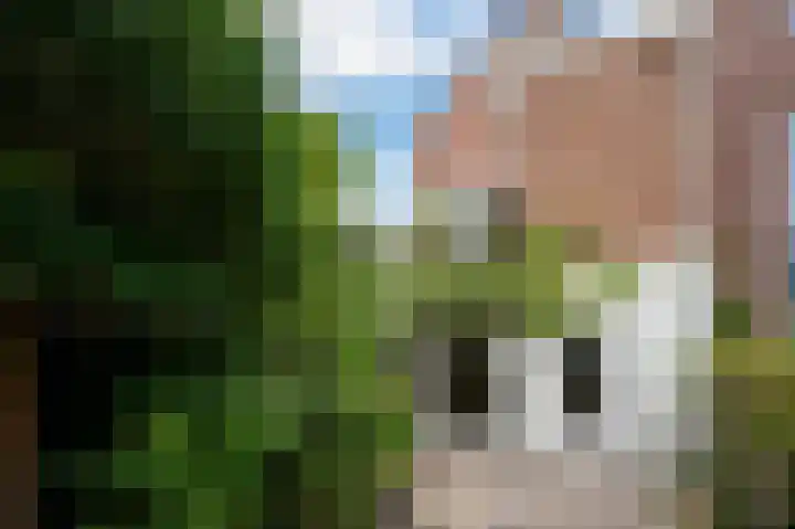 Singel 42 Dordrecht thumbnail 23