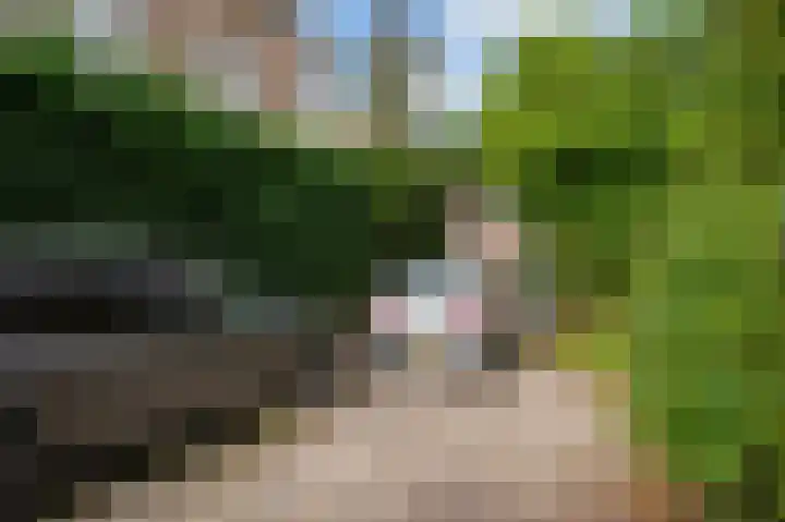 Singel 42 Dordrecht thumbnail 5