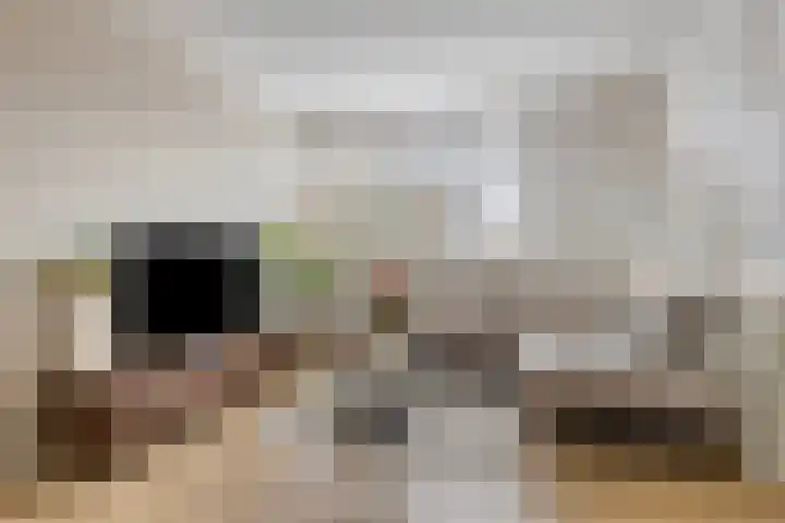 Singel 422 in Dordrecht