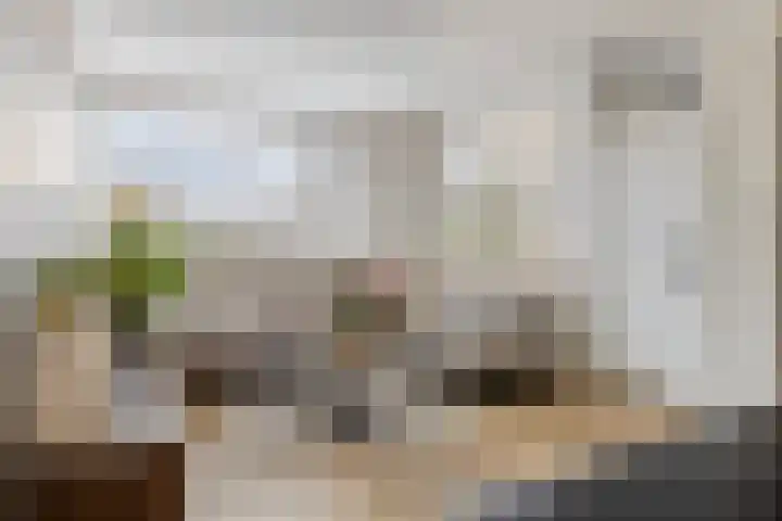 Singel 422 Dordrecht thumbnail 6