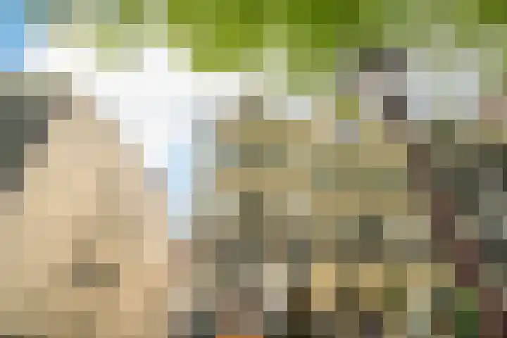 Singel 422 K Amsterdam thumbnail 28