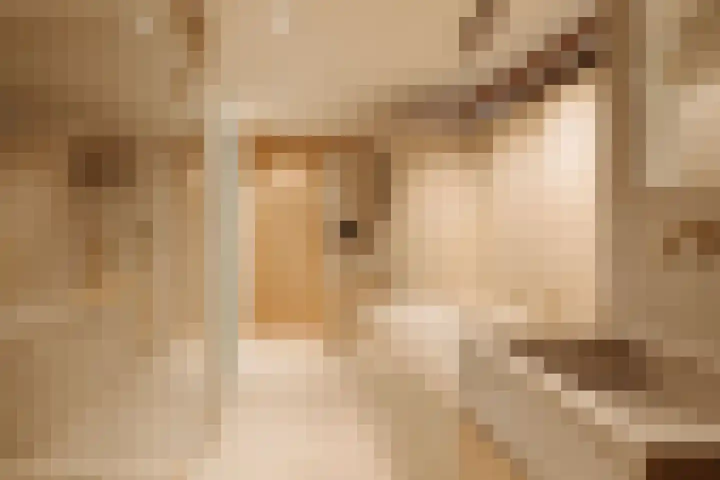 Singel 424 Amsterdam thumbnail 27