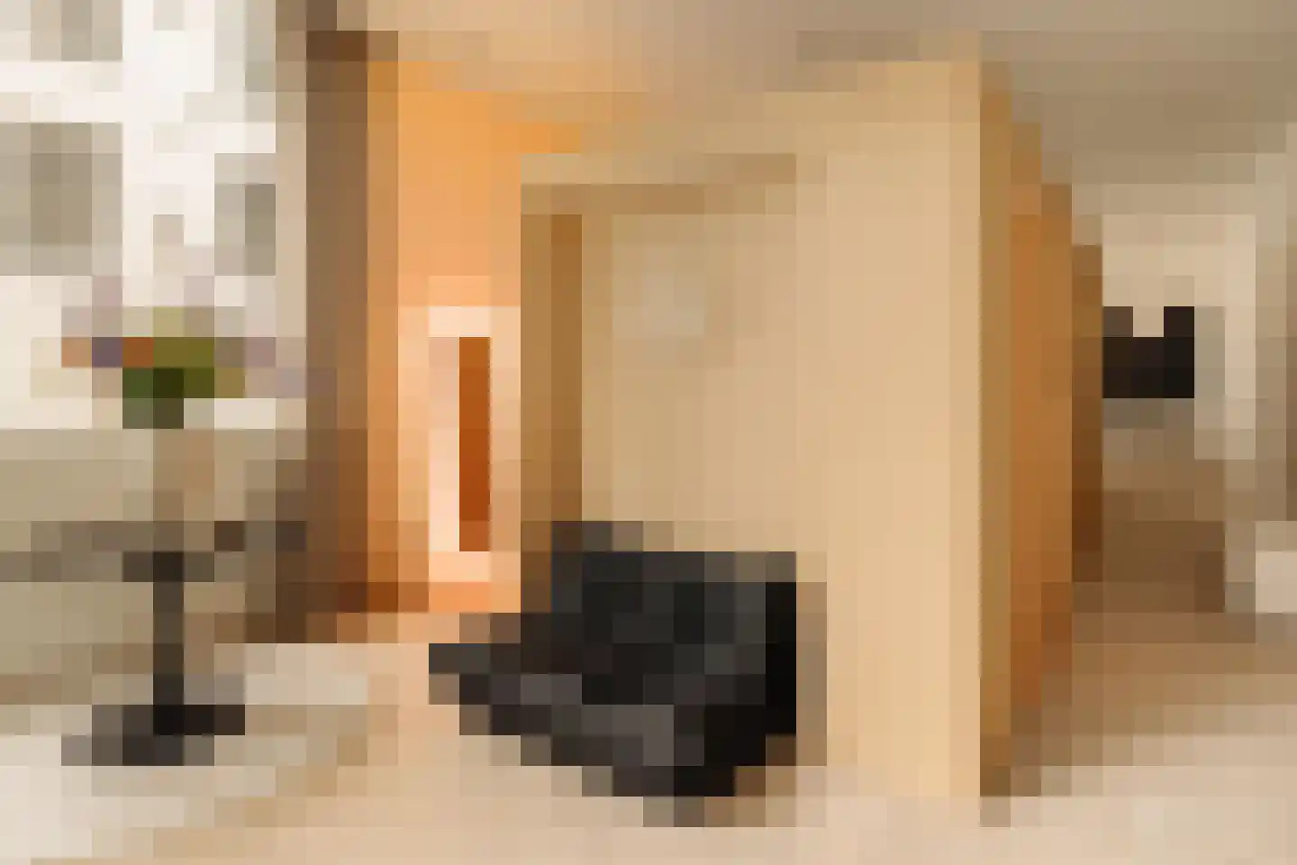 Singel 424 Amsterdam thumbnail 30