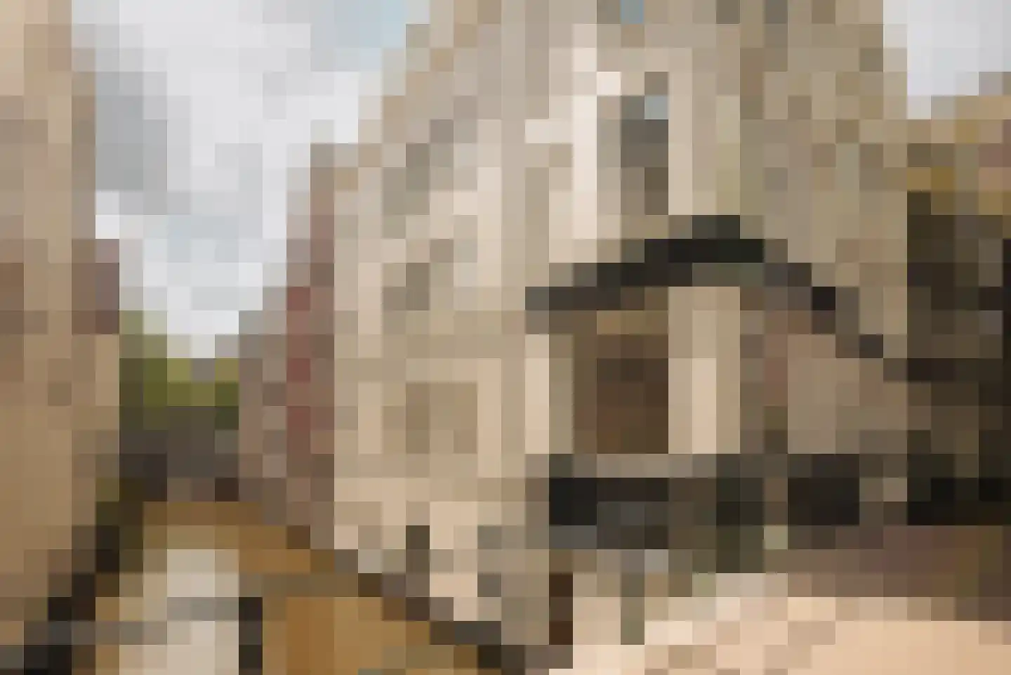 Singel 424 Amsterdam thumbnail 33