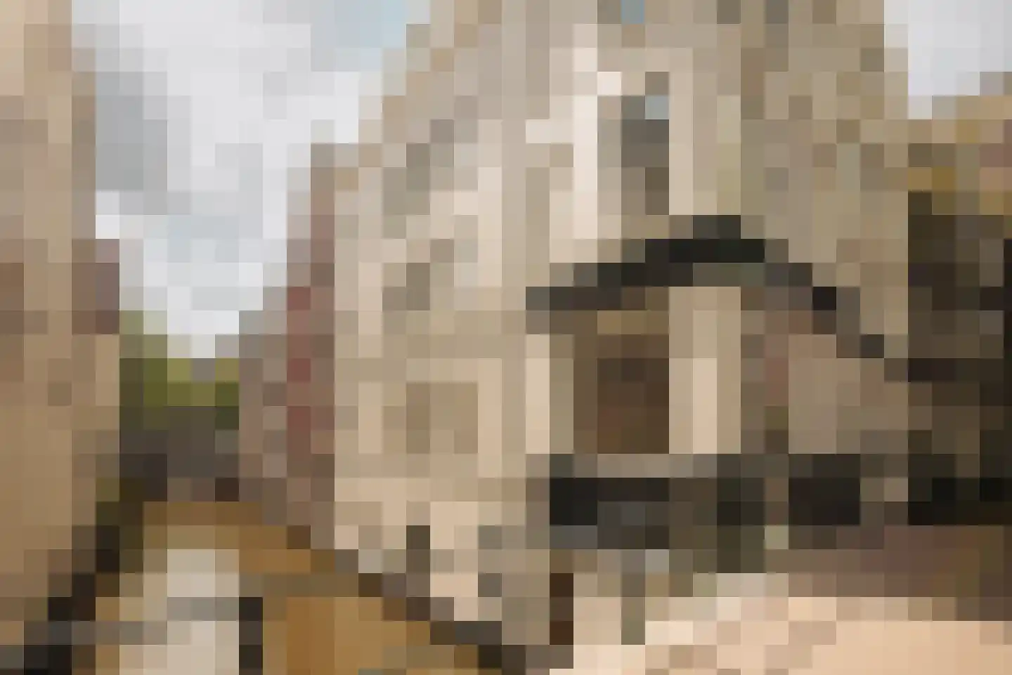 Singel 424 Amsterdam thumbnail 39