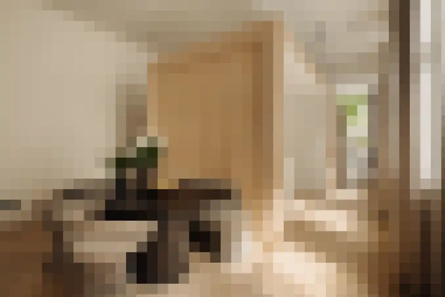 Singel 424 Amsterdam thumbnail 8