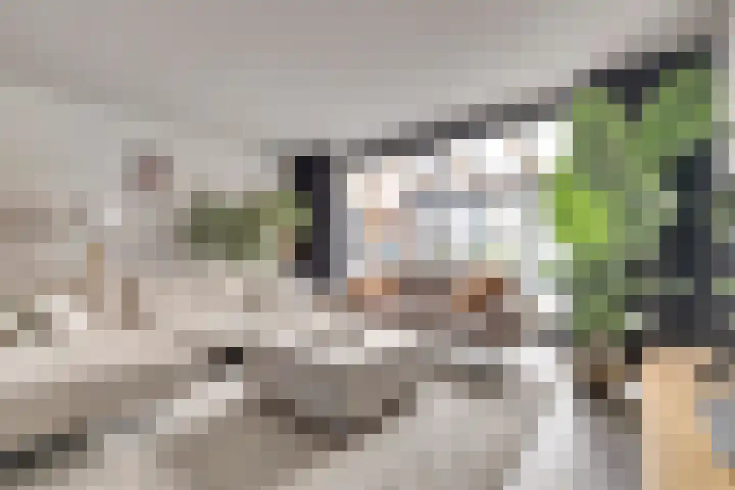 Singel 428 Vlissingen thumbnail 4