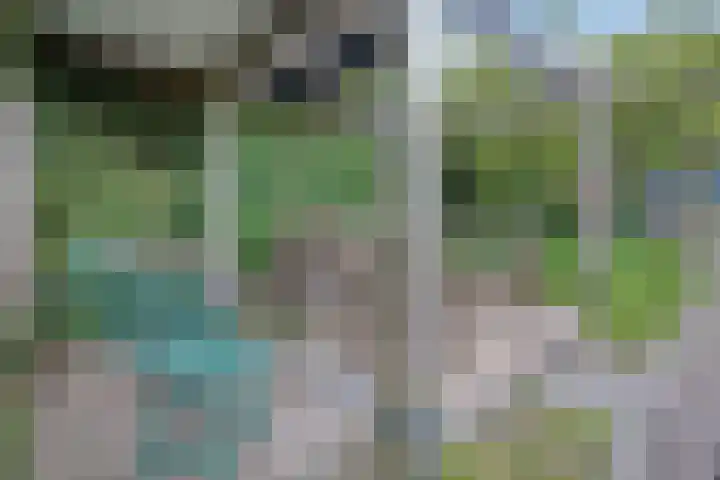 Singel 43 H Woerden thumbnail 32