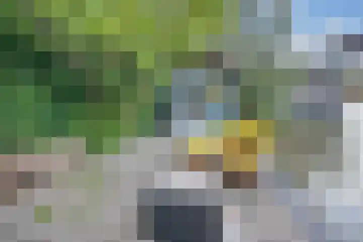 Singel 43 H Woerden thumbnail 34