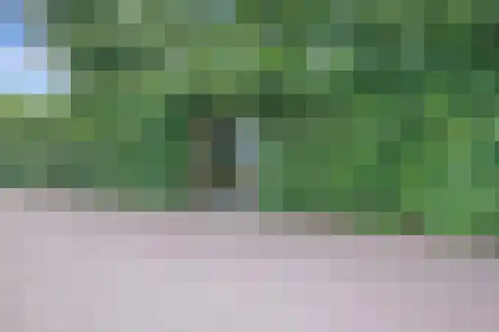 Singel 43 H Woerden thumbnail 38