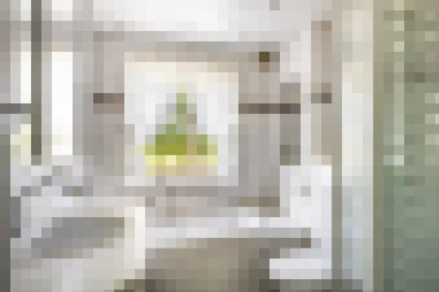Singel 43 Hillegom thumbnail 11