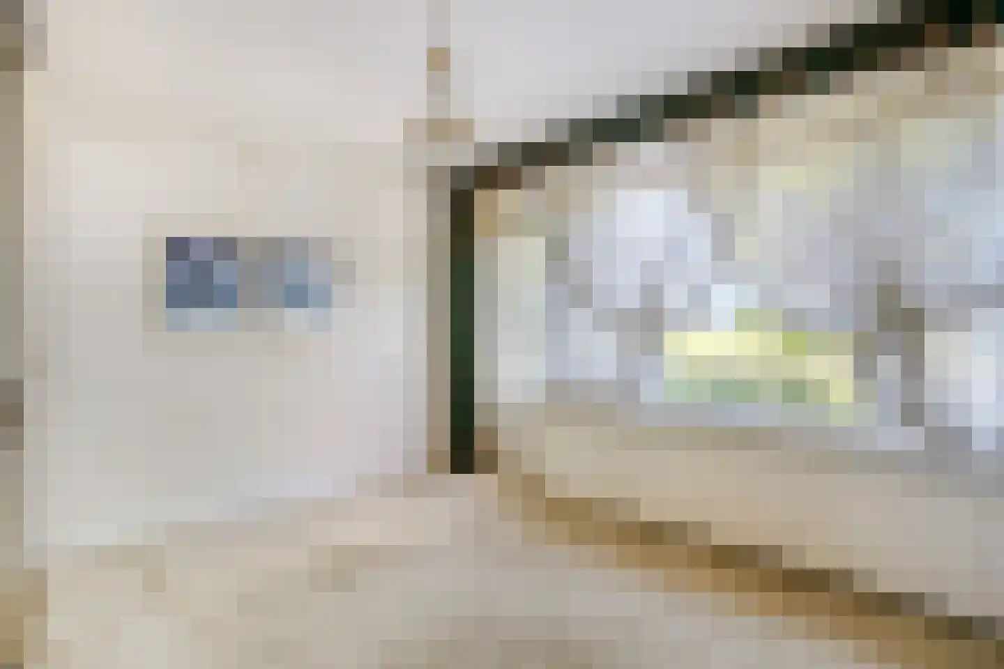 Singel 43 Hillegom thumbnail 12