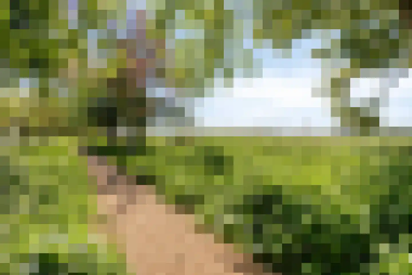 Singel 43 Hillegom thumbnail 22