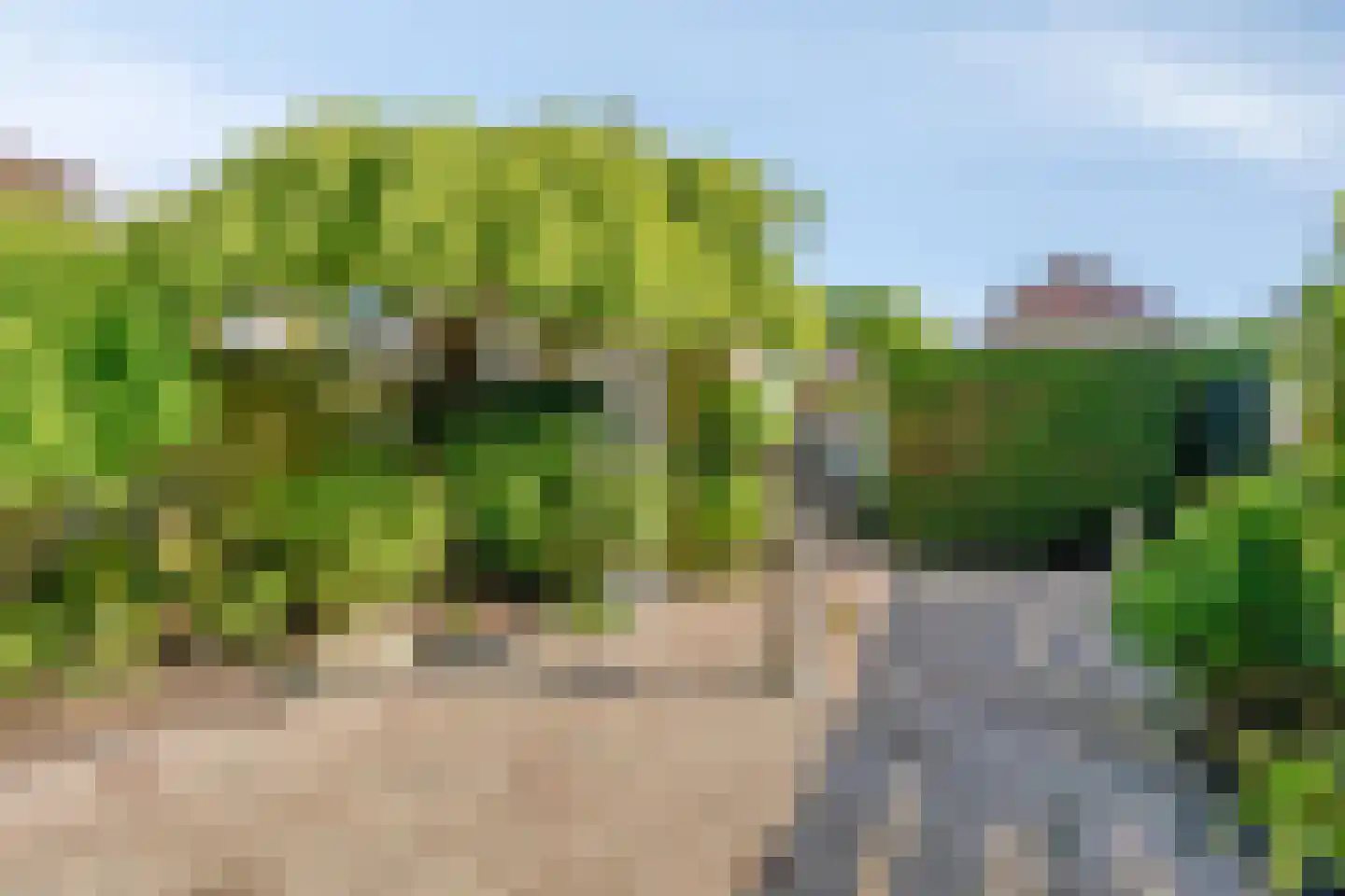 Singel 43 Hillegom thumbnail 4