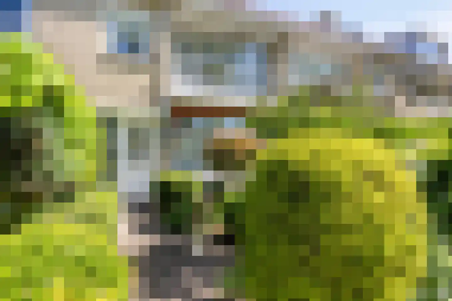 Singel 43 Hillegom thumbnail 6