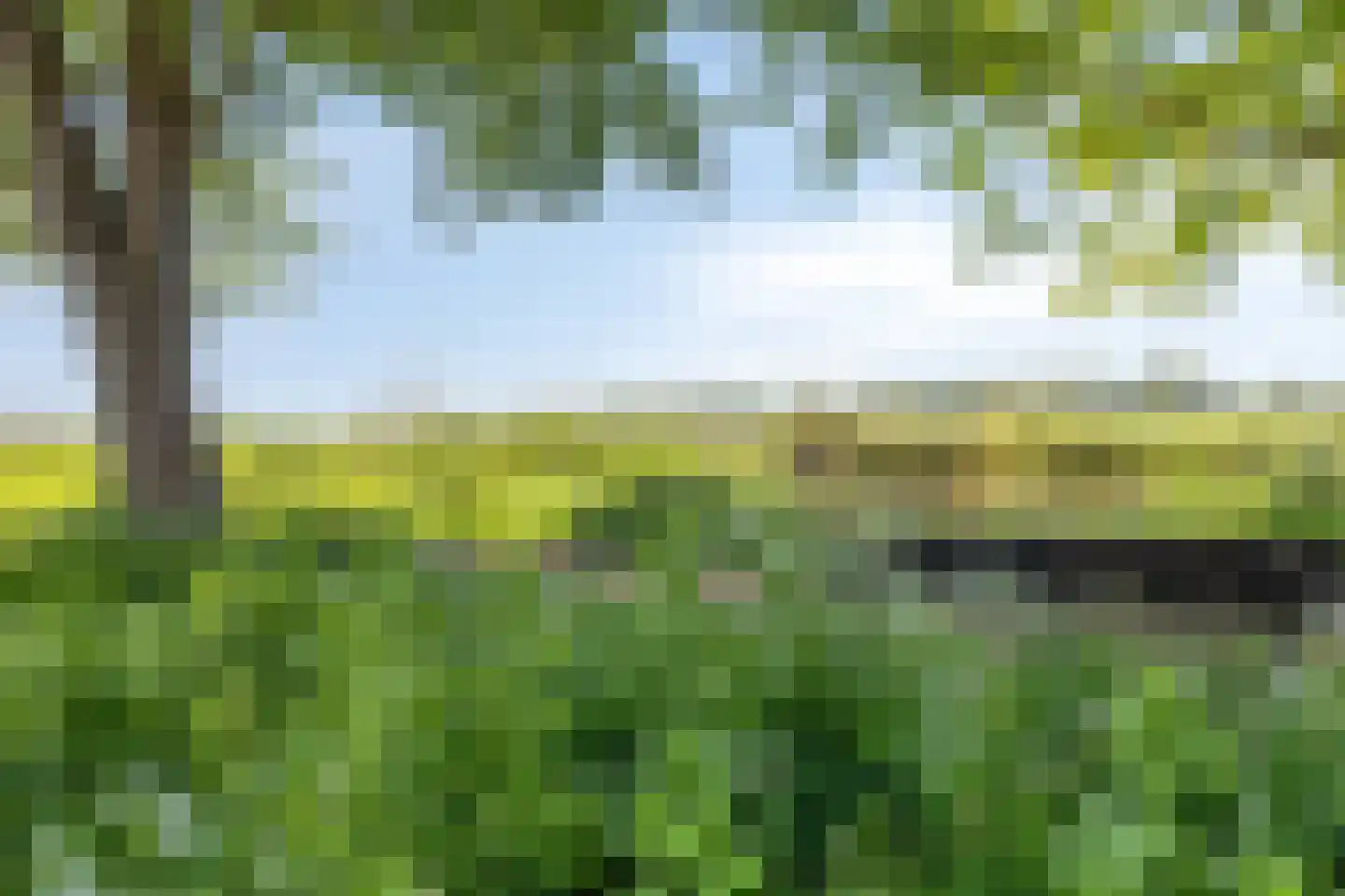 Singel 43 Hillegom thumbnail 7