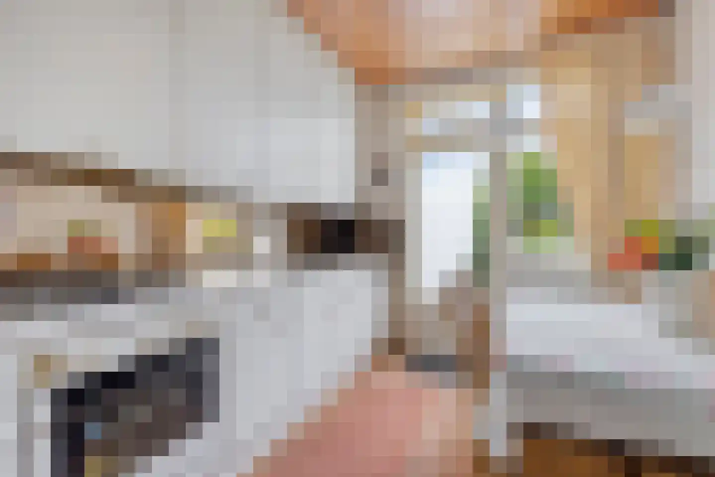 Singel 43 Hillegom thumbnail 8