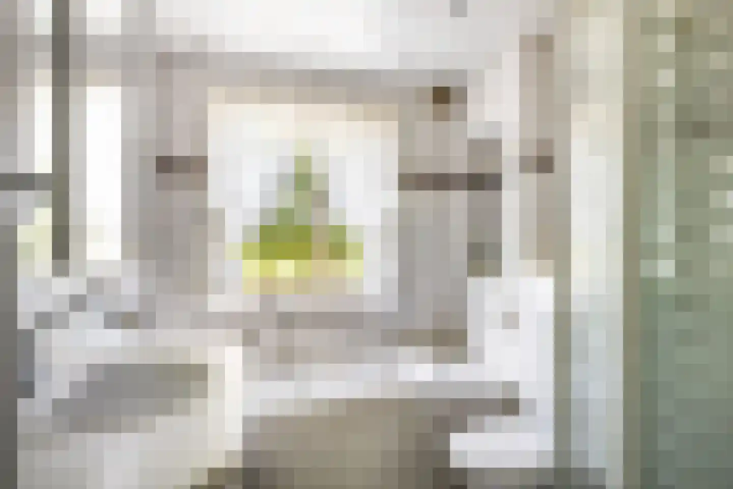 Singel 43 Hillegom thumbnail 9