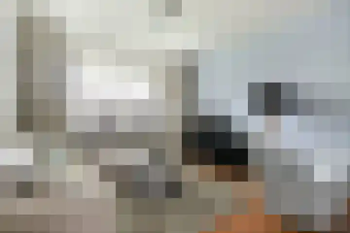 Singel 432 Dordrecht thumbnail 9