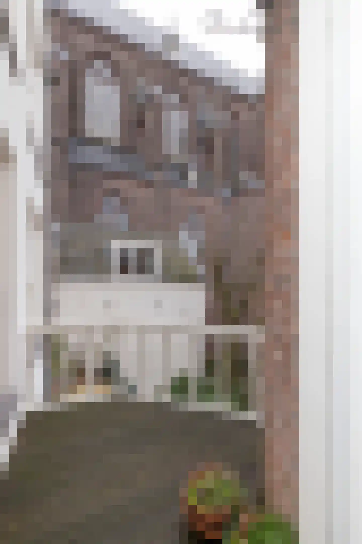 Singel 436 F Amsterdam thumbnail 14