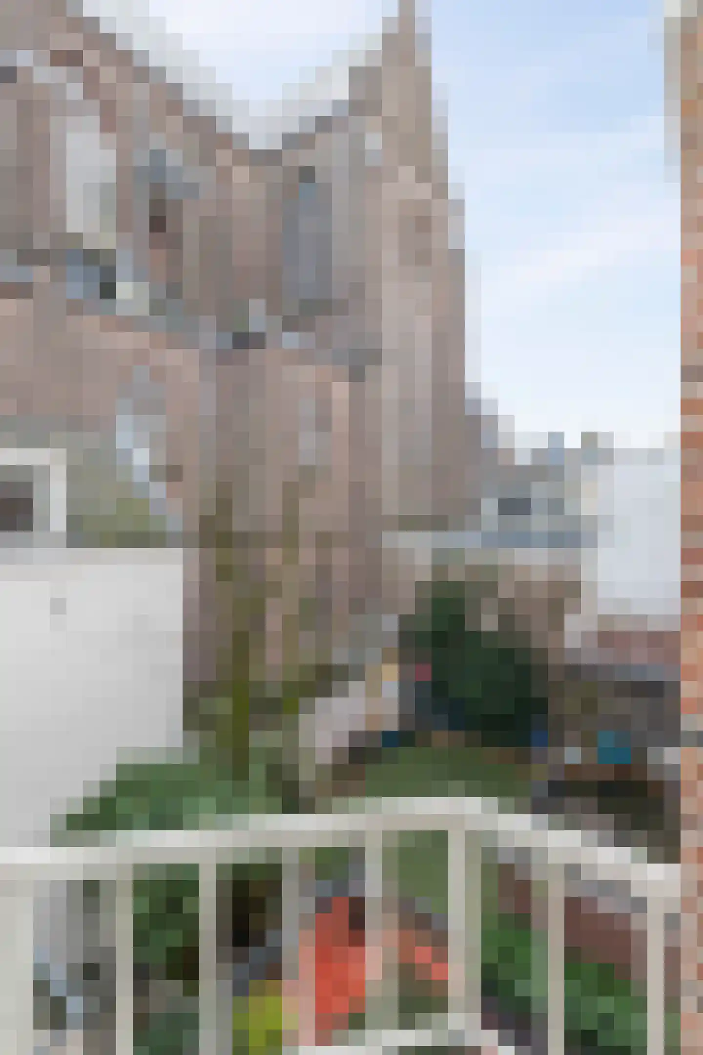 Singel 436 F Amsterdam thumbnail 15