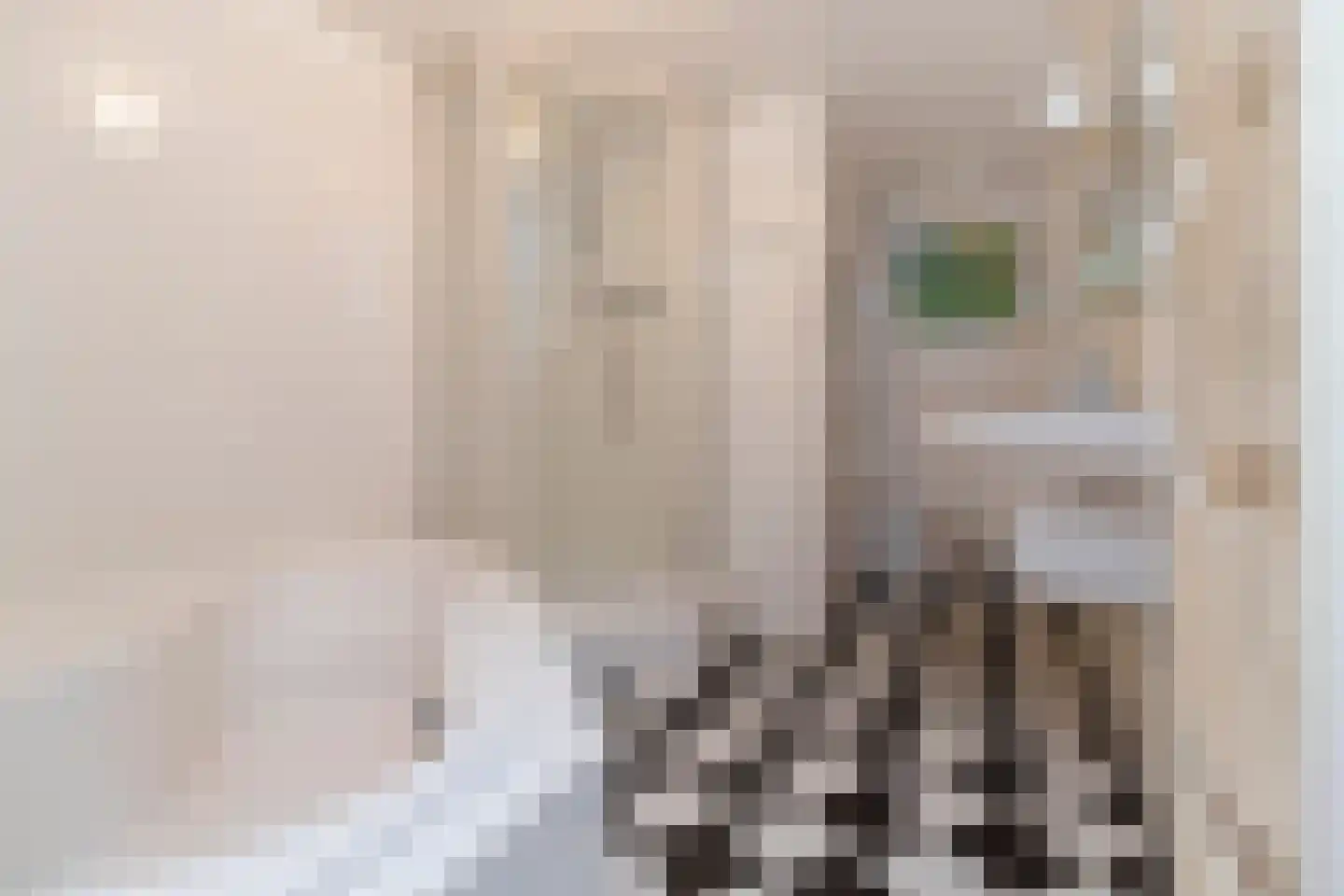 Singel 436 F Amsterdam thumbnail 17