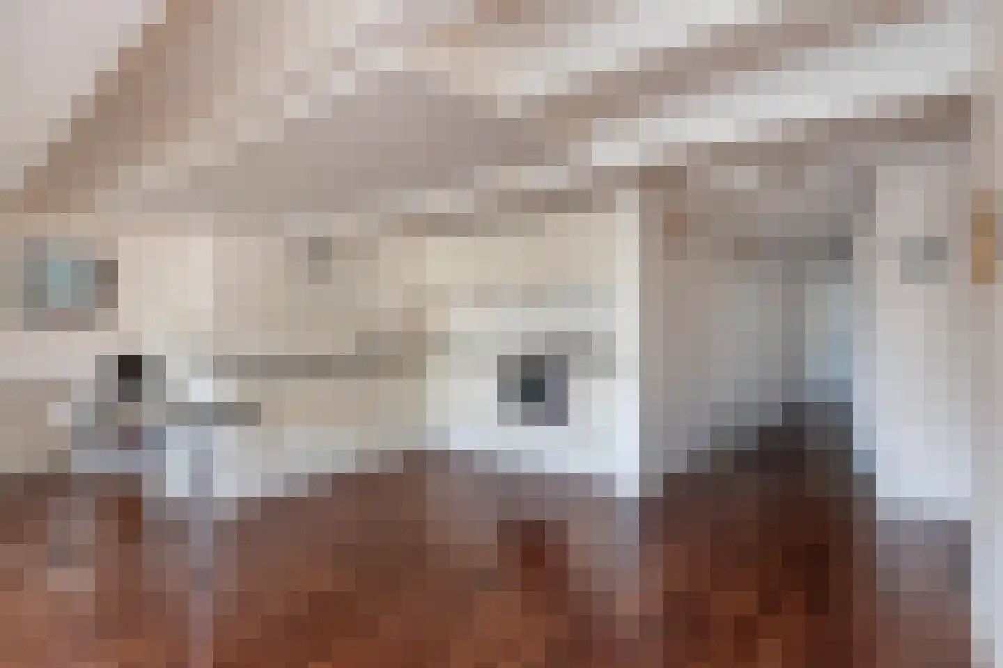 Singel 436 F Amsterdam thumbnail 7