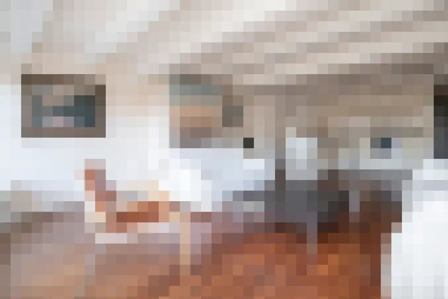 Singel 436 F Amsterdam thumbnail 9