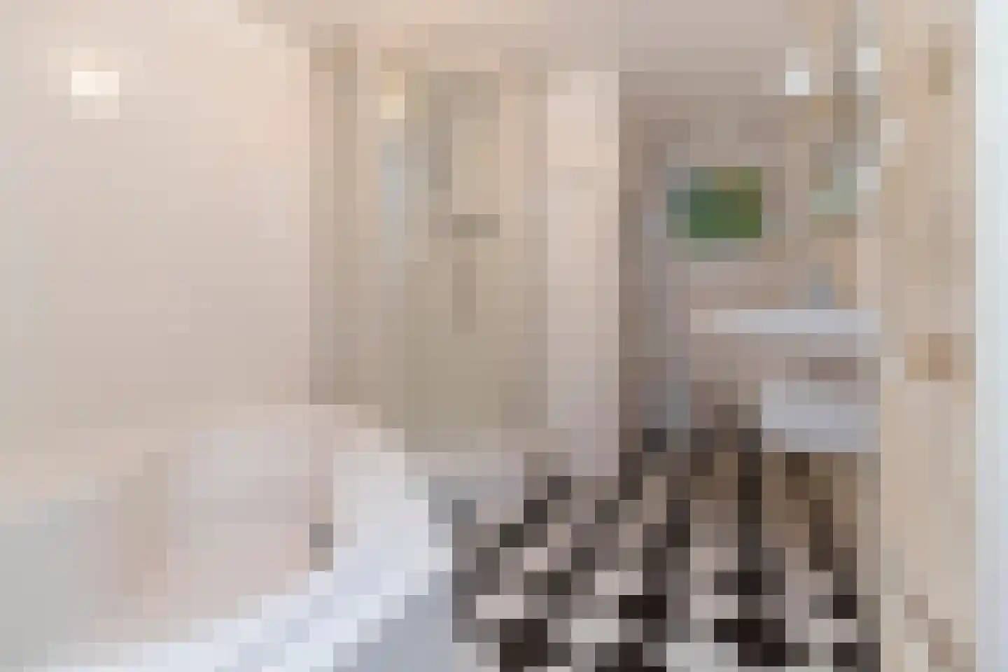Singel 436 H Amsterdam thumbnail 18