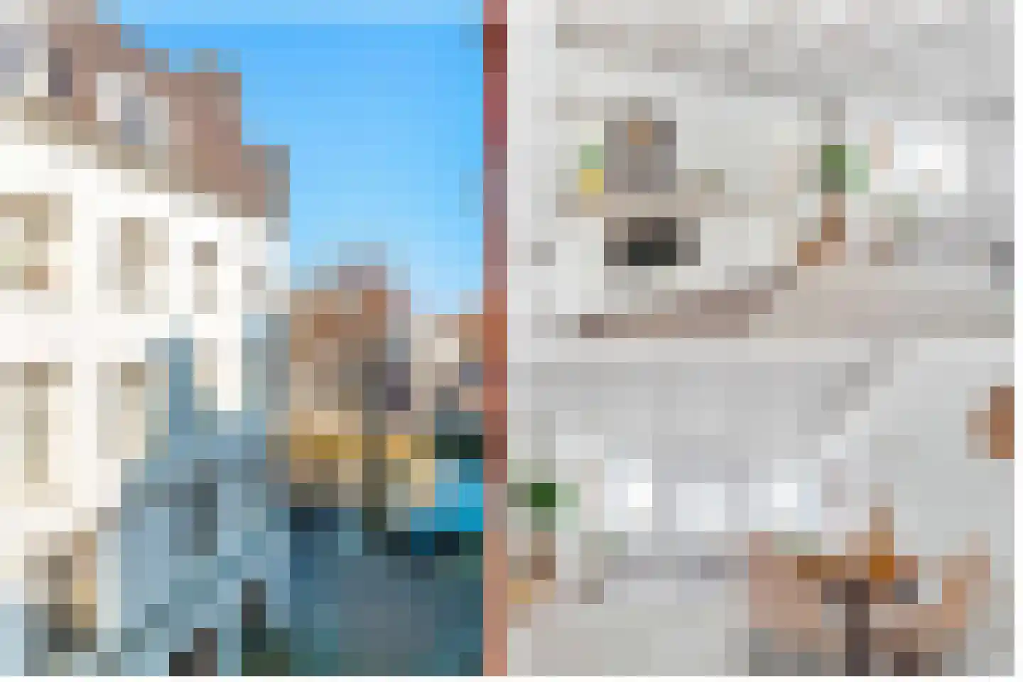 Singel 436 K Amsterdam thumbnail 16