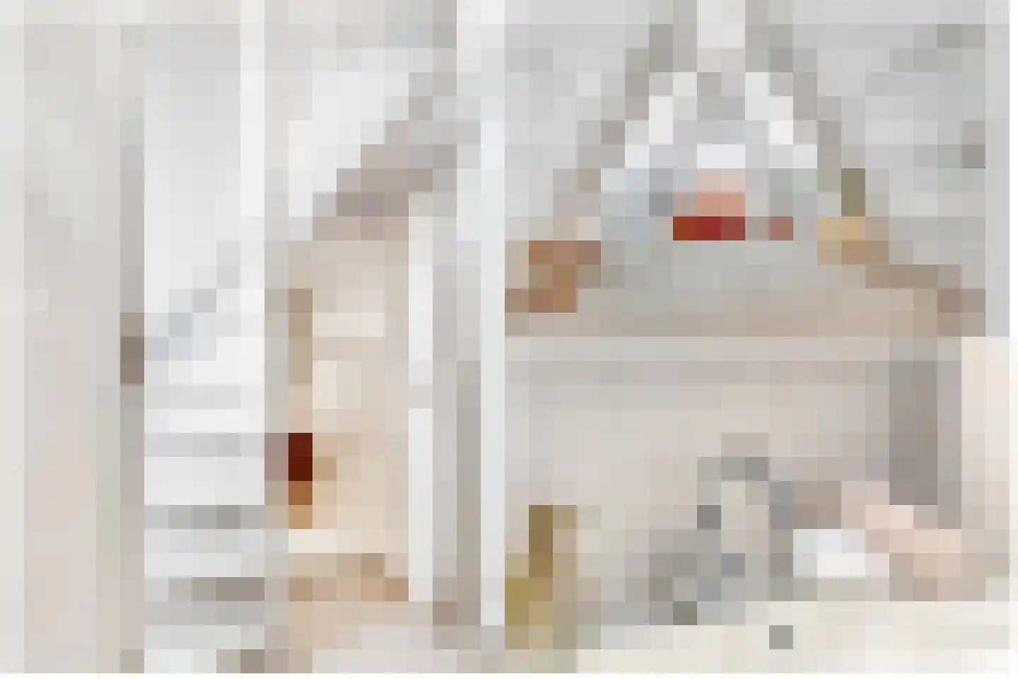 Singel 436 K Amsterdam thumbnail 23