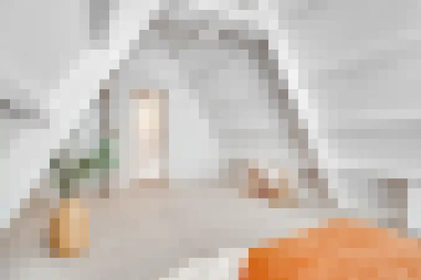 Singel 436 K Amsterdam thumbnail 27