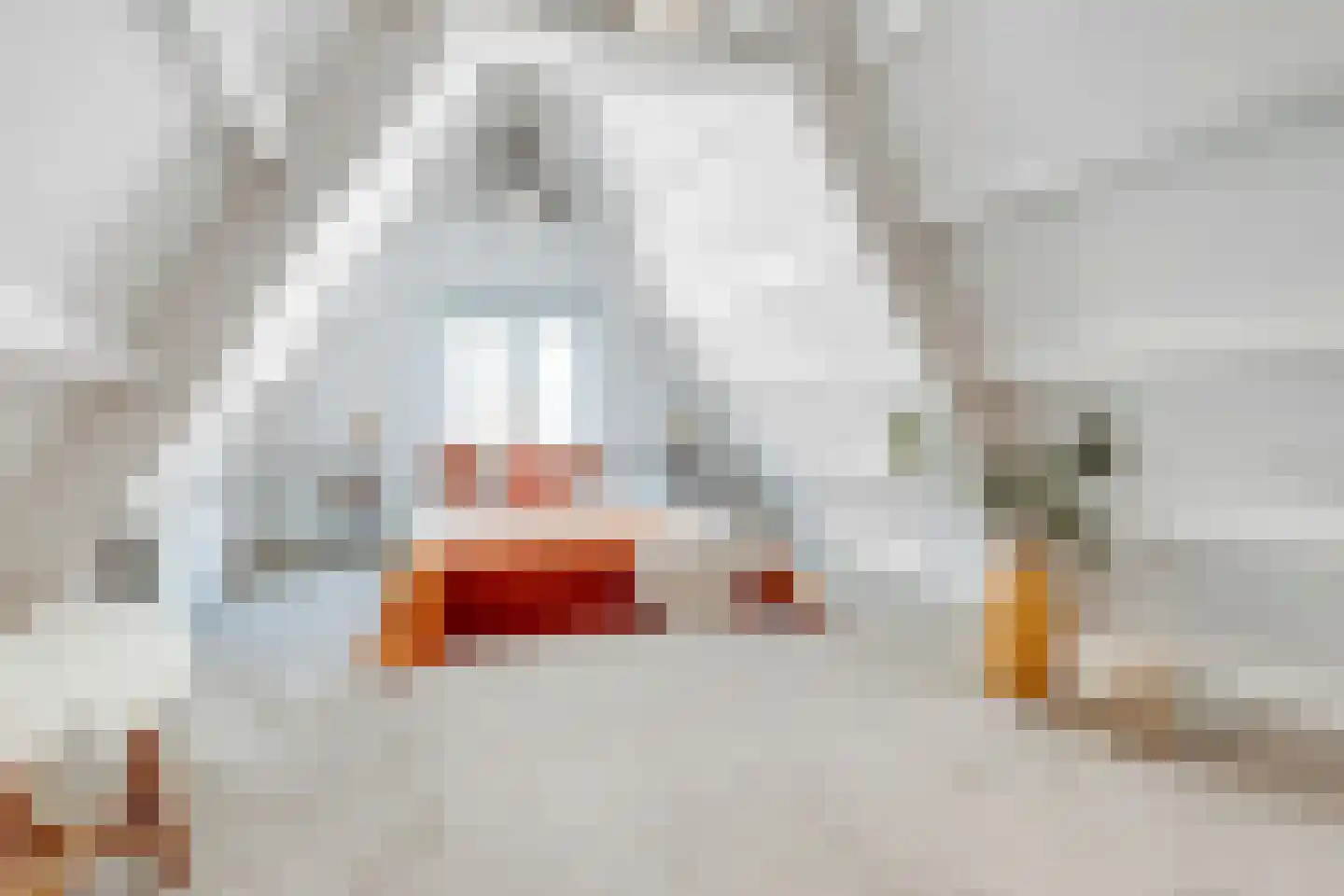 Singel 436 K Amsterdam thumbnail 4