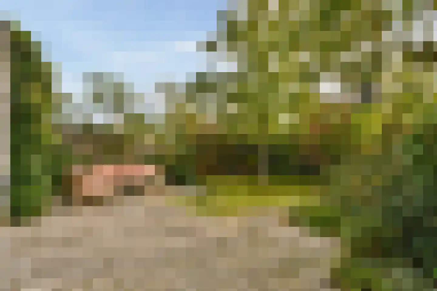 Singel 44 Vreeland thumbnail 12
