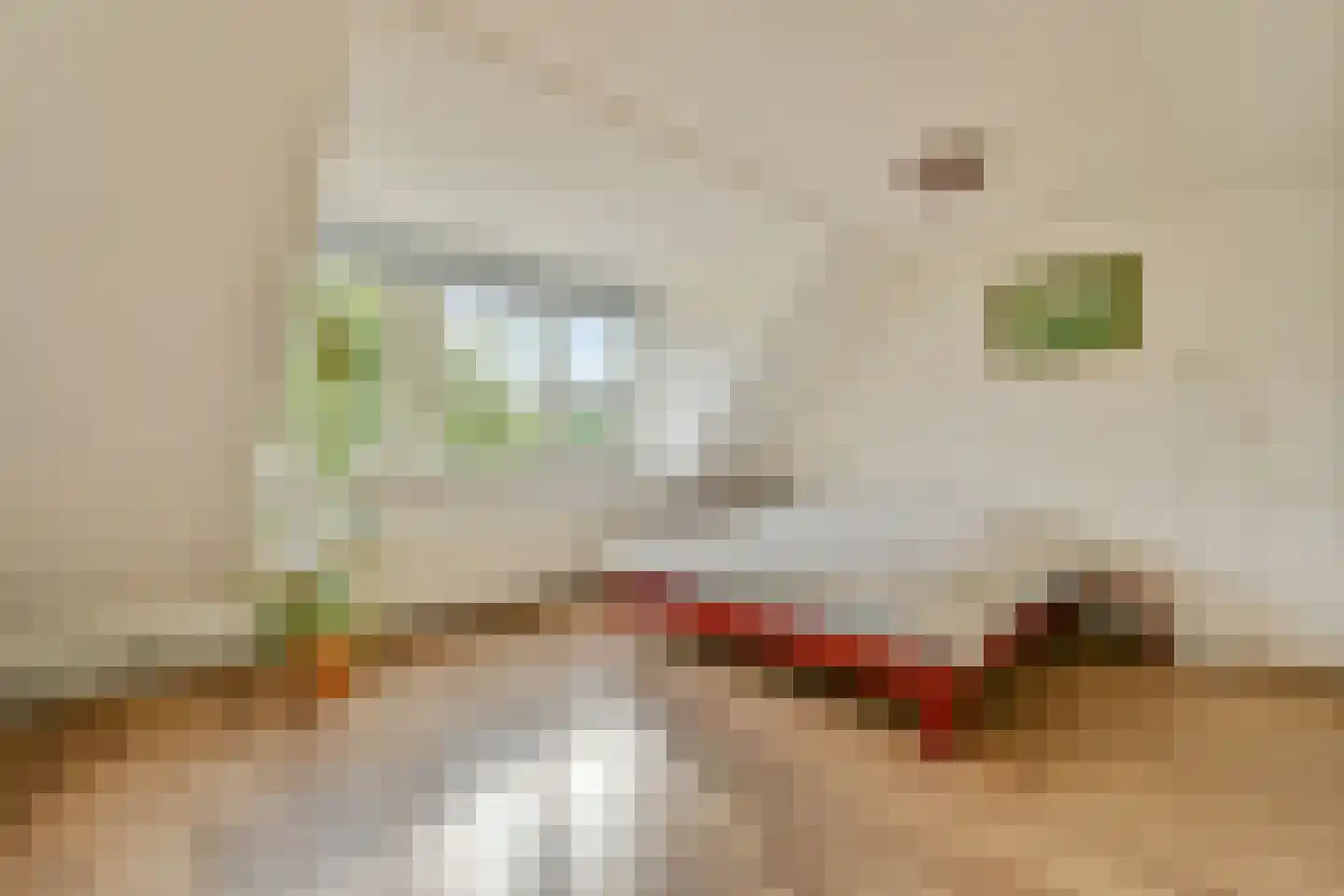 Singel 44 Vreeland thumbnail 18