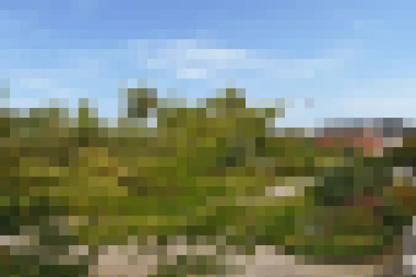 Singel 44 Vreeland thumbnail 23