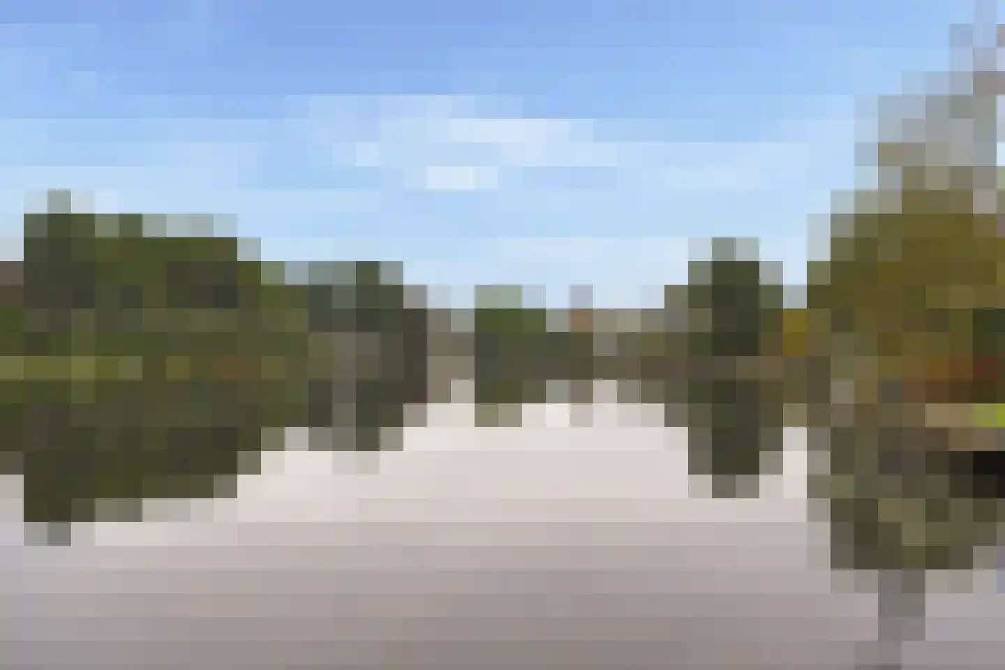 Singel 44 Vreeland thumbnail 34