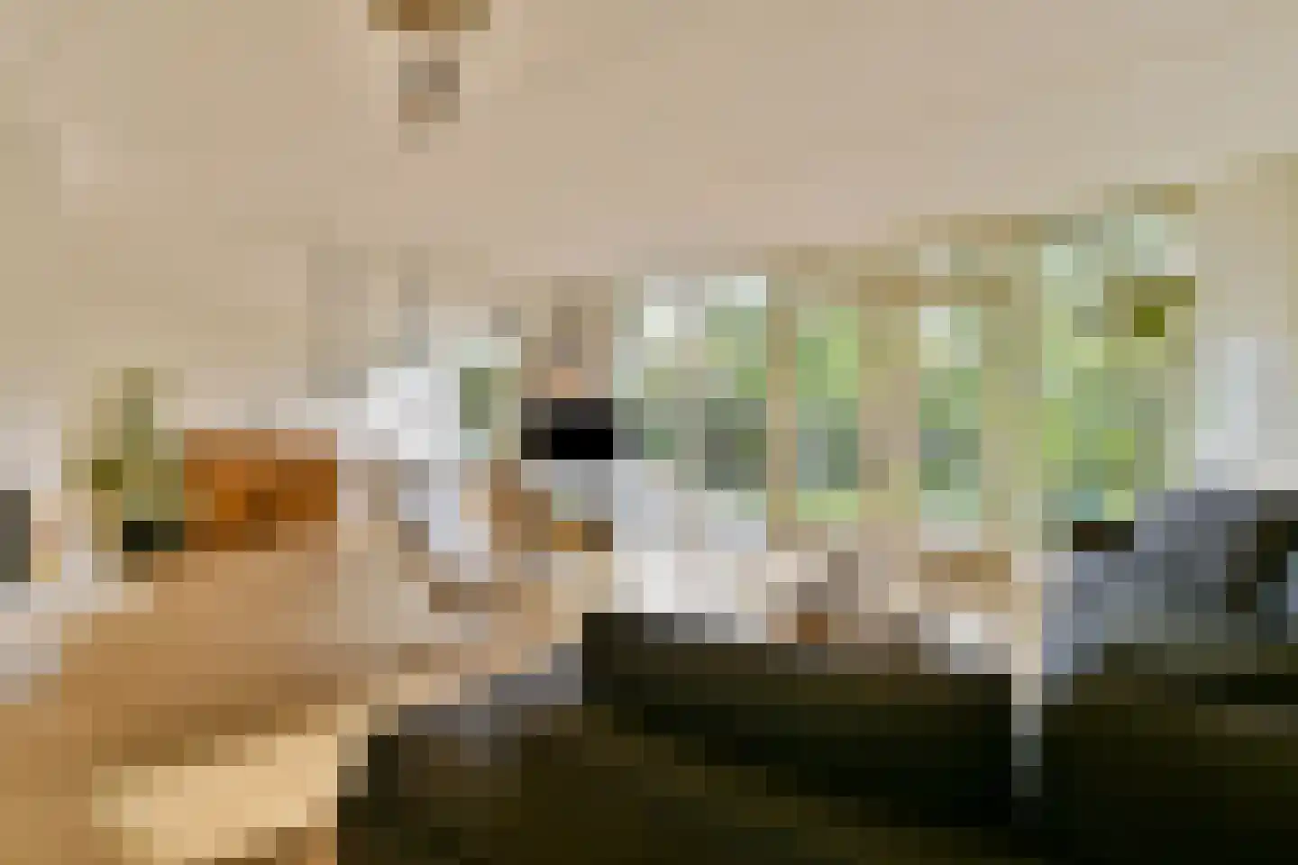 Singel 44 Vreeland thumbnail 4