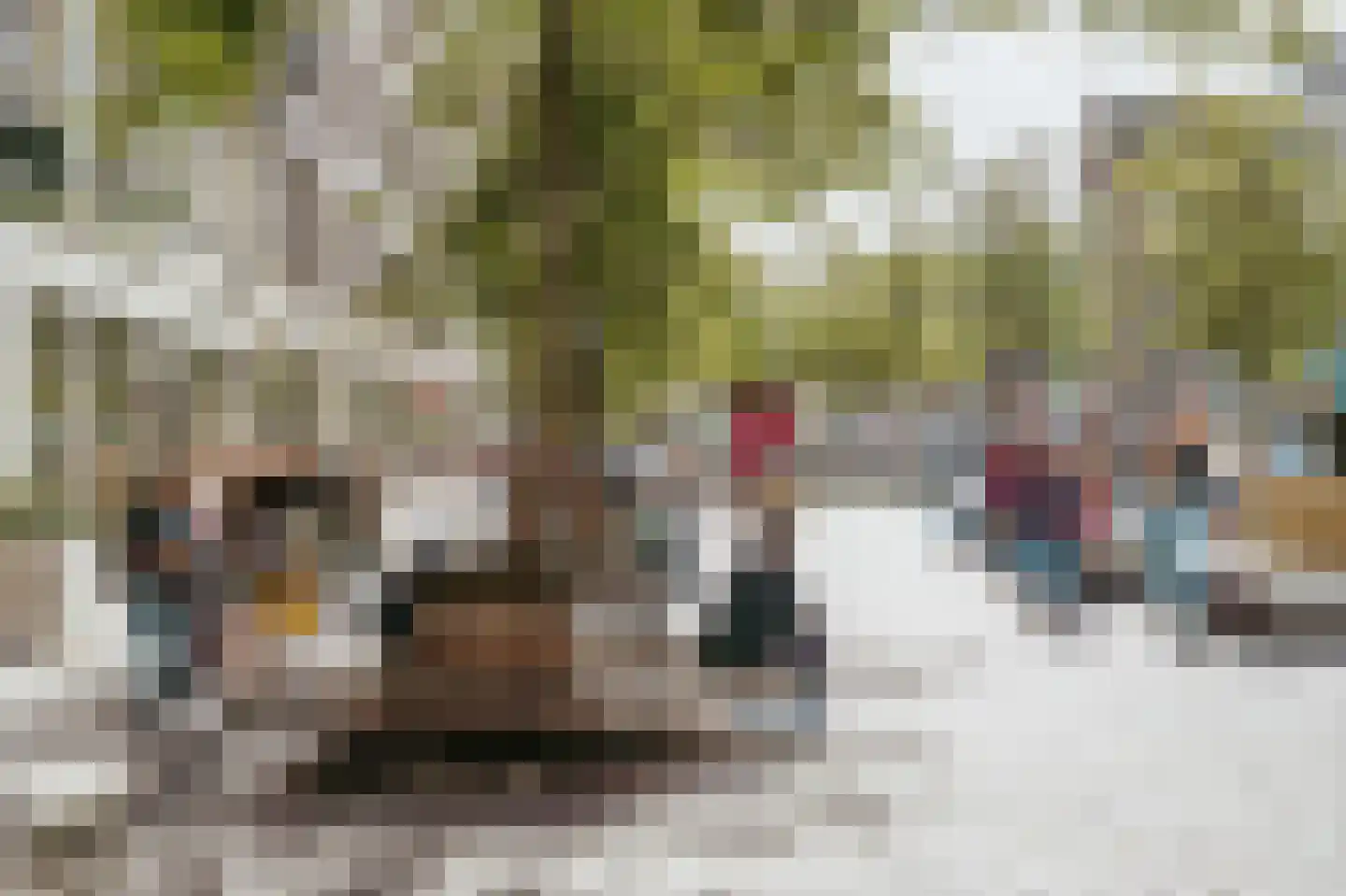 Singel 455 F Amsterdam thumbnail 31