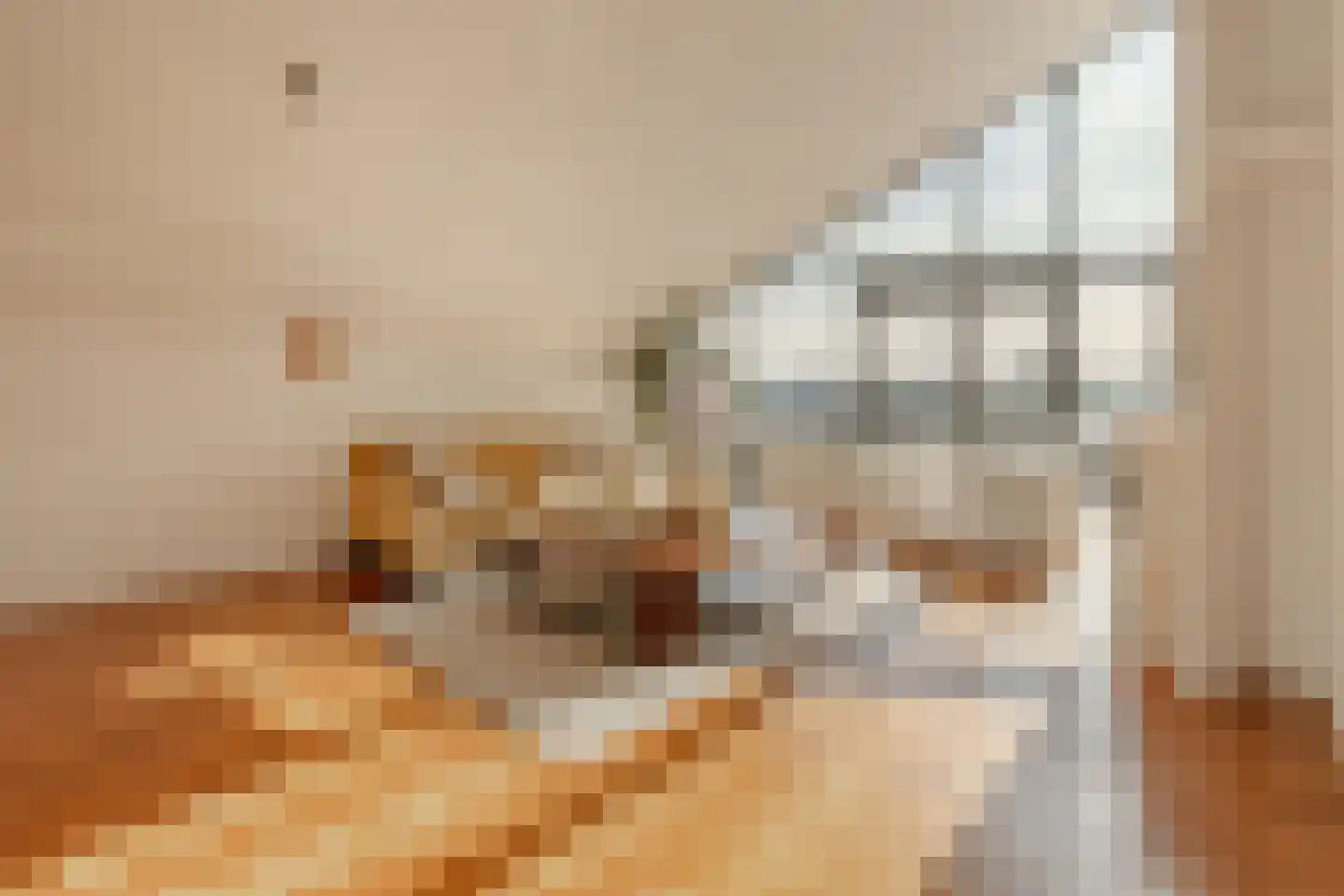 Singel 455 F Amsterdam thumbnail 5